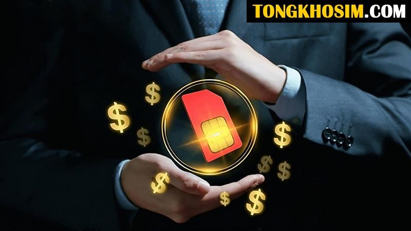 Tại sao nên chọn mua sim tứ quý tại Tổng Kho Sim - ảnh 3