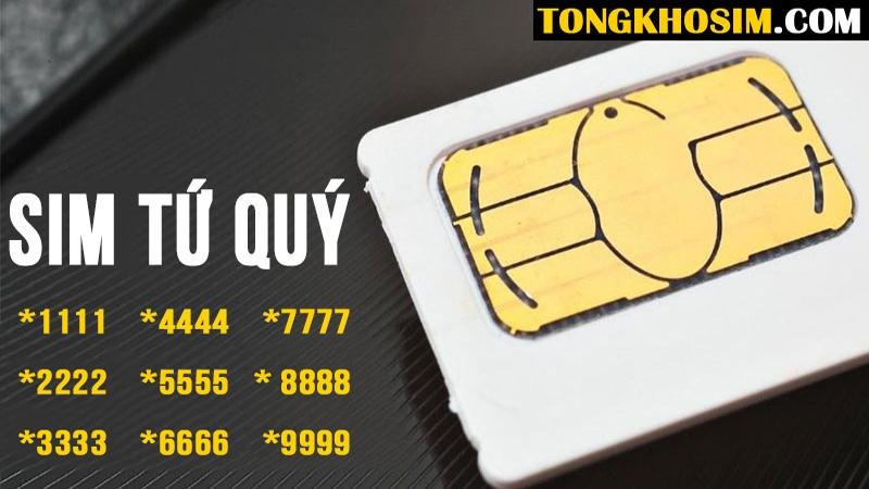 Tại sao nên chọn mua sim tứ quý tại Tổng Kho Sim - ảnh 1