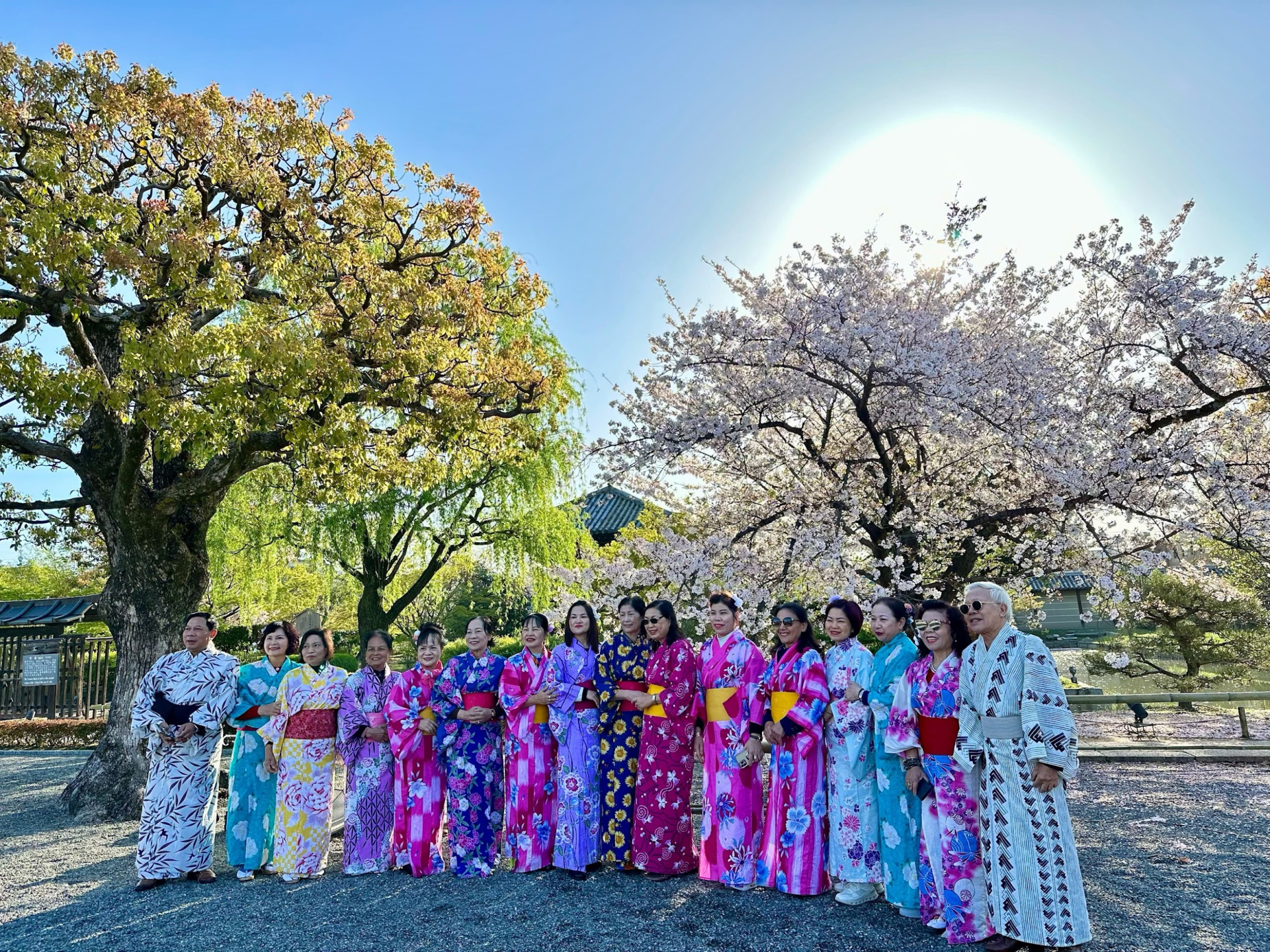 Chưa tới 30 triệu đồng, ngắm trọn mùa hoa anh đào Nhật Bản 2026 - ảnh 3