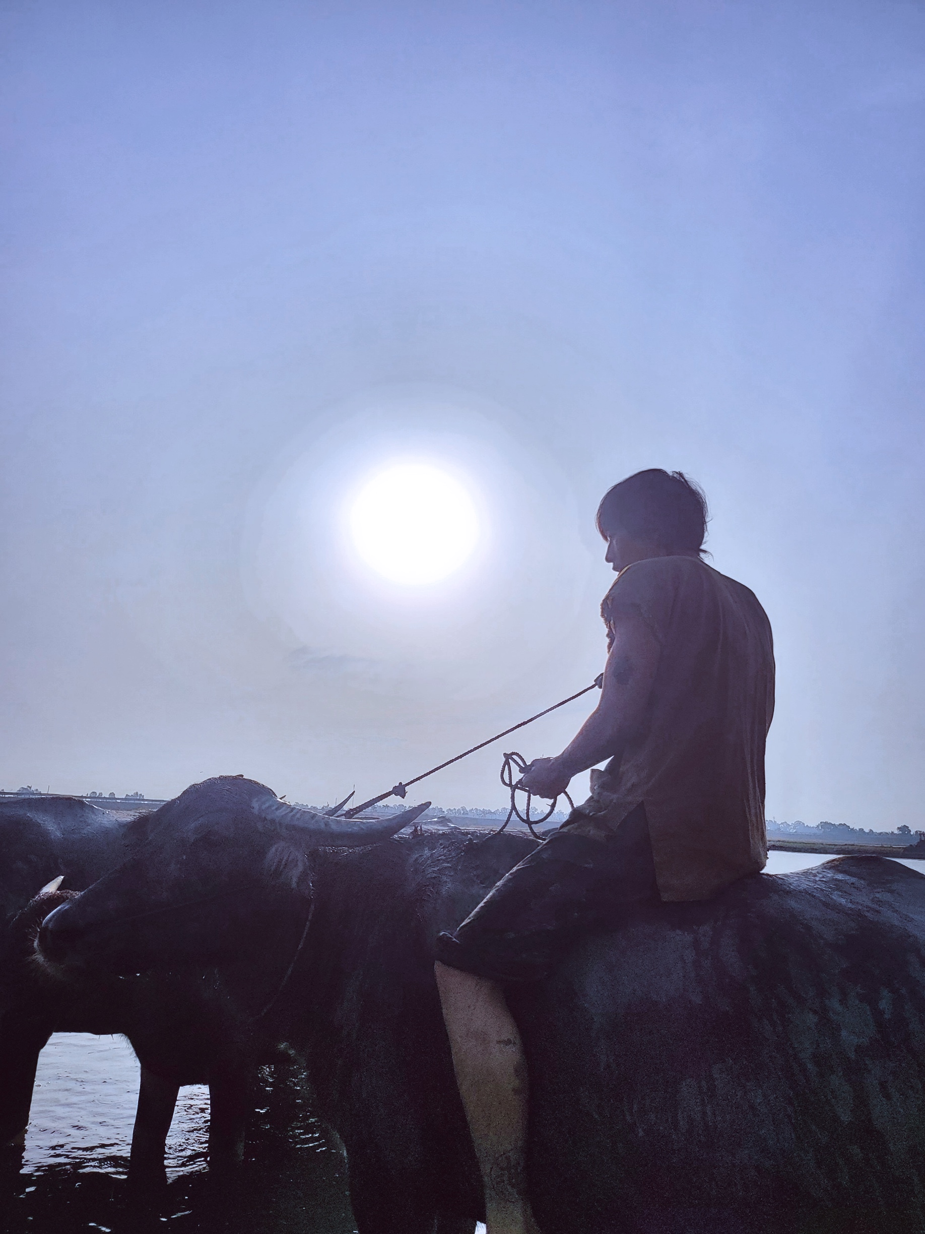 Tuấn Trần trải nghiệm chăn trâu, cưỡi ngựa, lội bùn trong 'Đất rừng Phương Nam' - ảnh 2