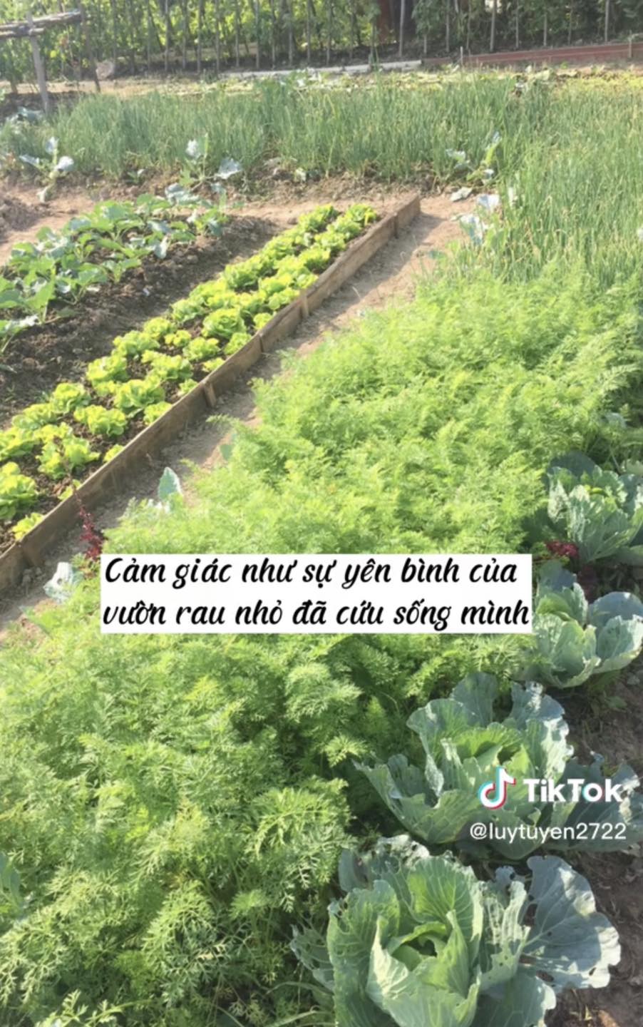 Cô gái 2 lần tự chụp ảnh thờ cho chính mình: Phép màu tạo nên nhờ ý chí và niềm tin vào cuộc sống - ảnh 9