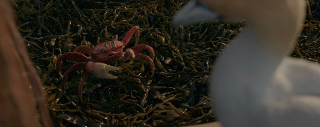 Bom tấn 'The Little Mermaid' tung trailer ngay lễ Oscar 2023: Ariel giải cứu trai đẹp, ai ngờ 'sập bẫy' phản diện - ảnh 3