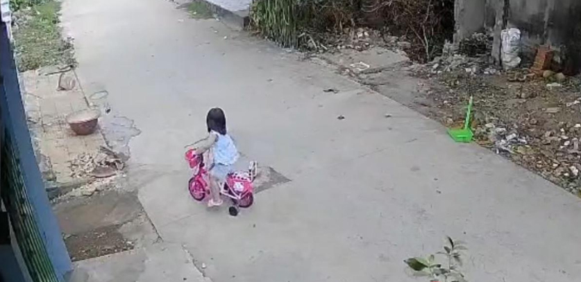 Cô bé đạp chiếc xe đạp màu hồng trên đường làng