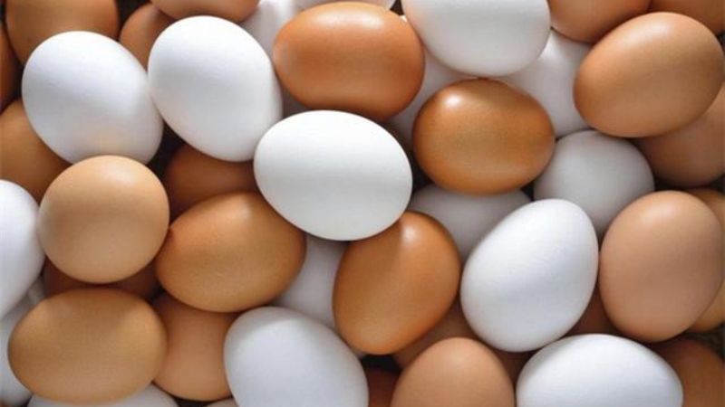 Màu sắc của trứng gà không hề quyết định đến chất lương dinh dưỡng của chúng