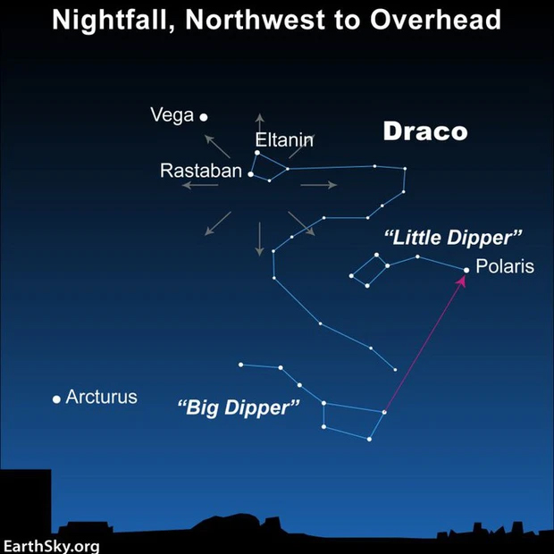 Bản đồ bầu trời, với mưa sao băng được đánh dấu tỏa ra từ đầu của 'rồng trời' Thiên Long, gần với ngôi sao sáng Vega (Ảnh: Earthsky)