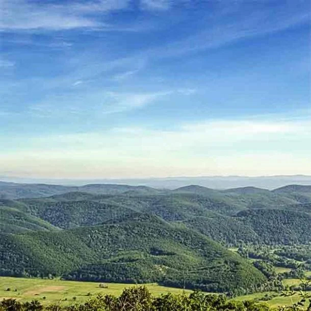 Quang cảnh từ đỉnh Papiya (cao 502 m hoặc 1.647 ft) ở dãy núi Strandja tại Bulgaria. Ảnh Ancient