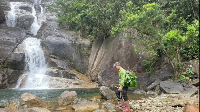 Địa điểm phát hiện ra loài thực vật mới ở Khu Bảo tồn Thiên nhiên Phong Điền (Ảnh: Báo Thanh niên)