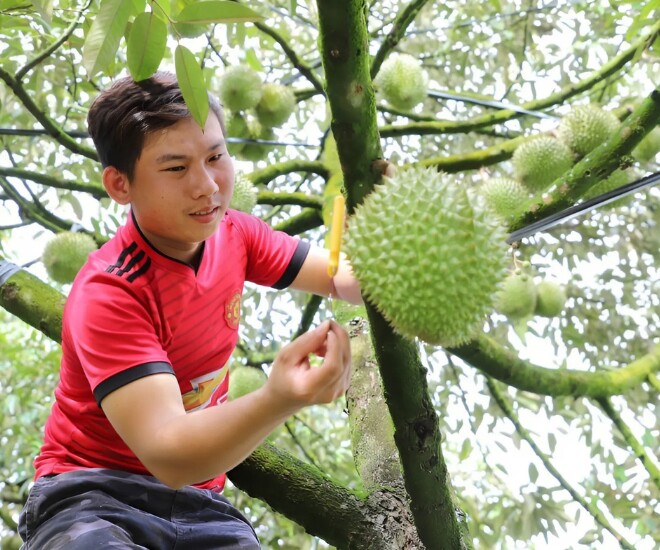 Để hành nghề chỉ cần một dụng cụ vô cùng đơn giản là cái dao (Ảnh: Báo Tri thức và Đời sống)