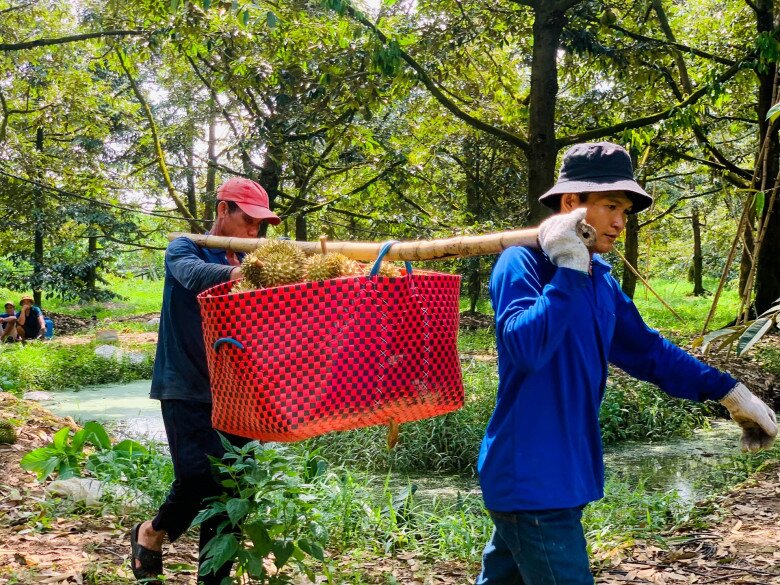 Nghề này tiềm ẩn nhiều rủi ro (Ảnh: Báo Tri thức và Cuộc sống)