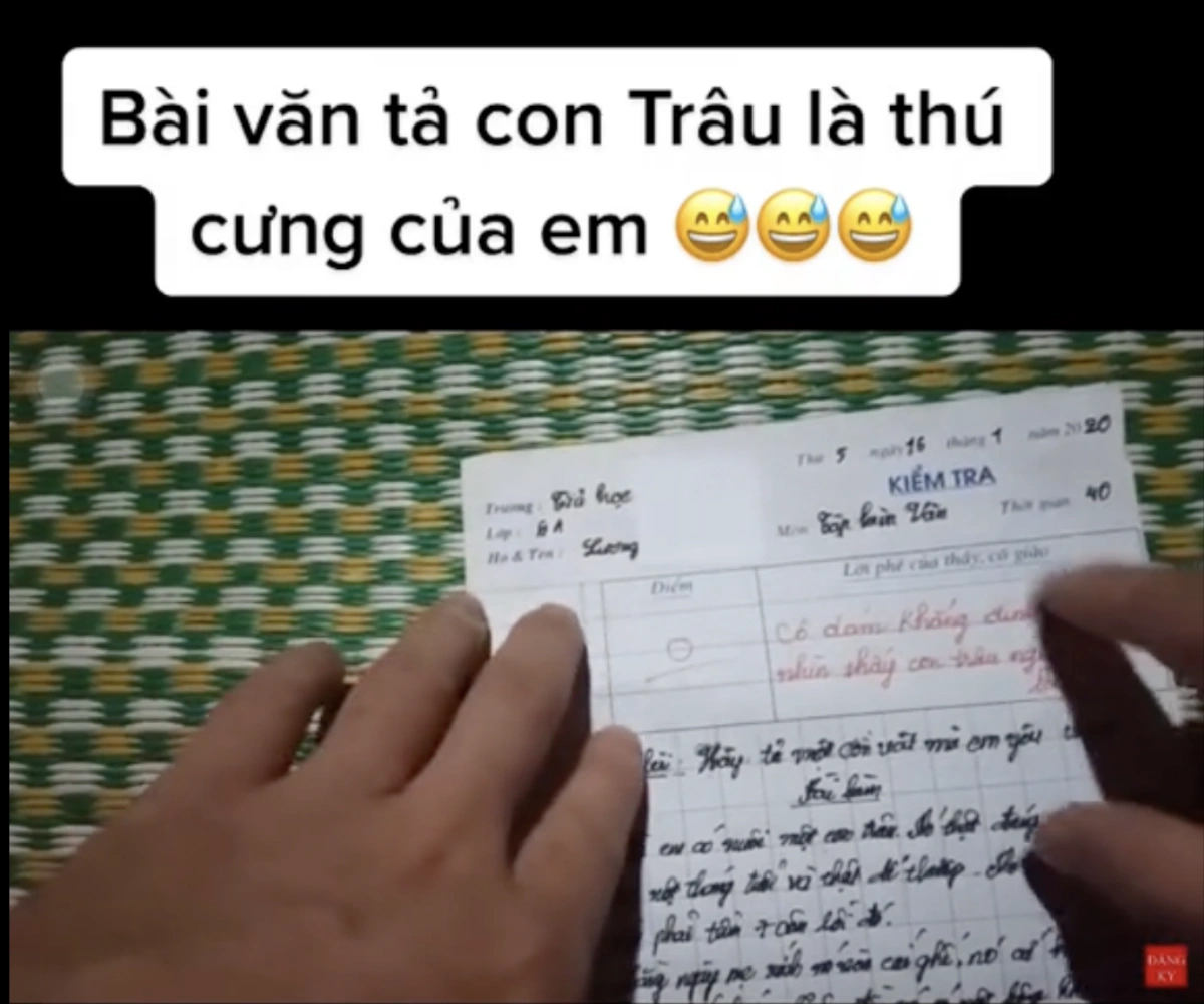 Bài văn của em học sinh bị cô giáo chấm 0 điểm