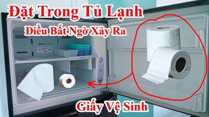 Đặt cuộn giấy vệ sinh vào tủ lạnh: Mẹo hay ai cũng cần, không biết để làm theo quá đáng tiếc - ảnh 1