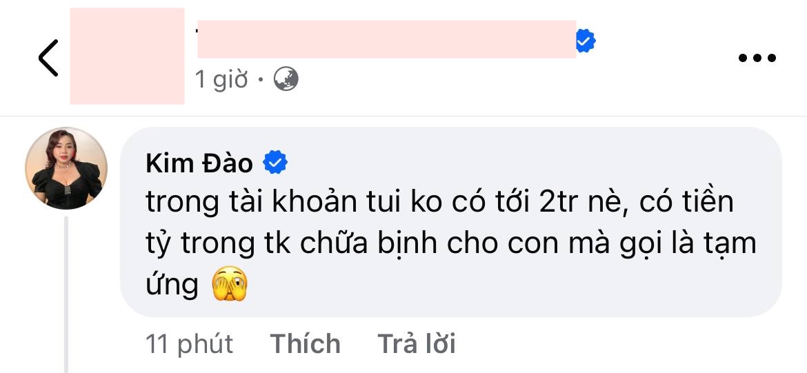 Kim Đào để lại bình luận bên dưới bài viết liên quan đến Phạm Thoại và mẹ bé Bắp