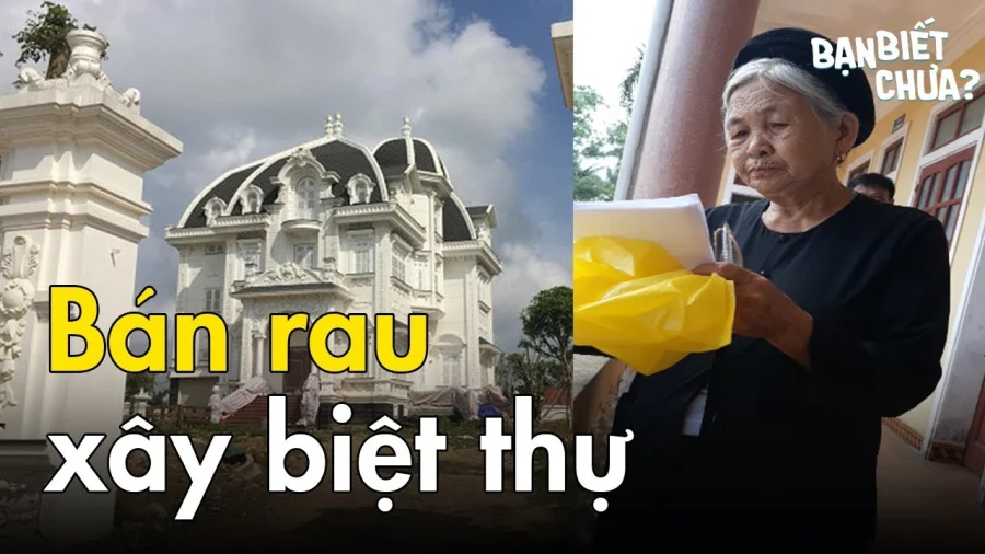 Giữa làng quê mọc lên căn biệt thứ 5000m2: Chủ nhân của nó mới làm nhiều người bất ngờ - ảnh 1