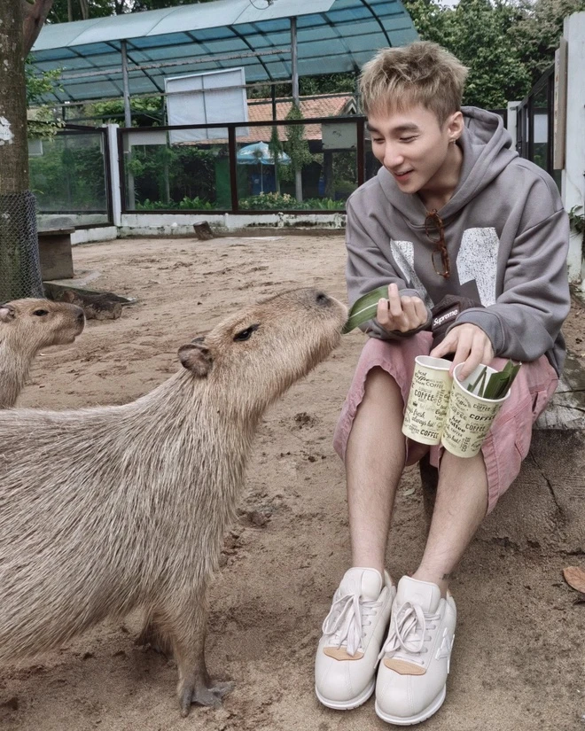 Sơn Tùng check-in cùng “nhà ngoại giao quốc dân” capybara.