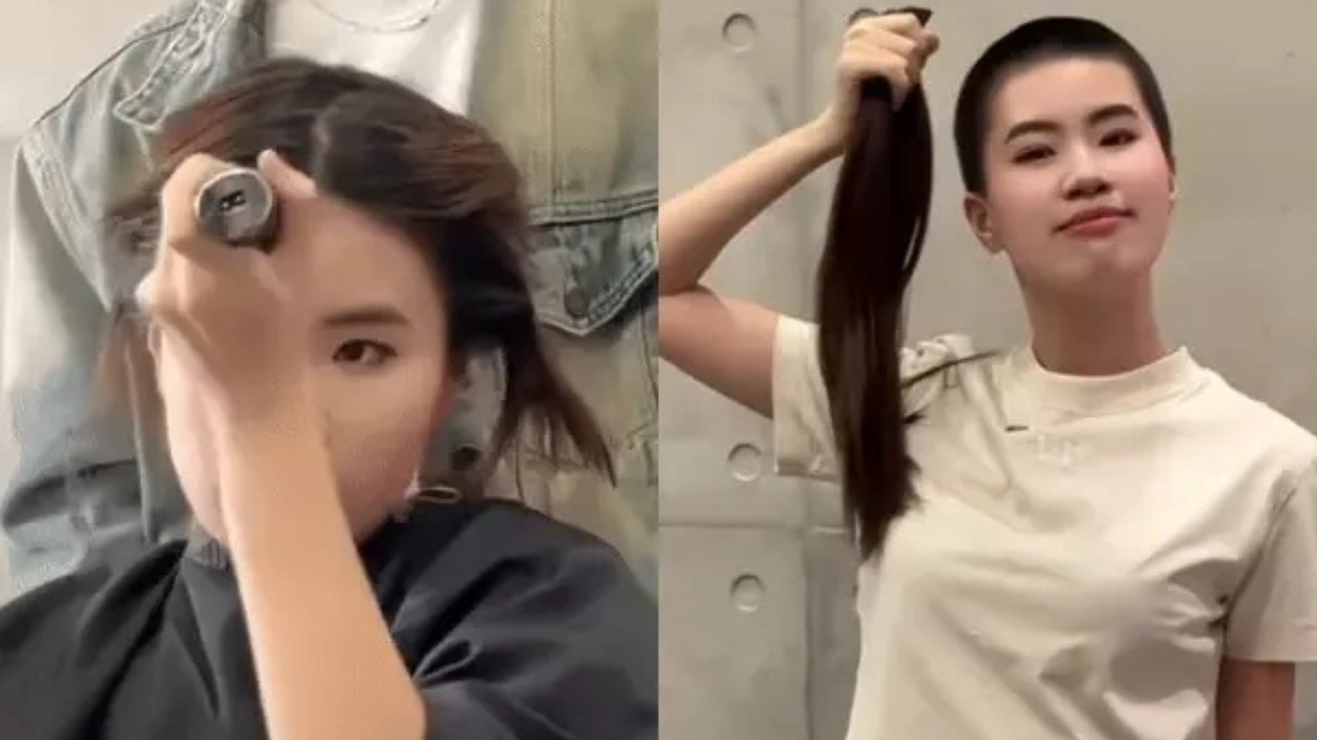 Hành động ấm áp của Pháo nhận khen ngợi.