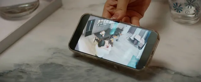 Mỹ Anh đưa bằng chứng