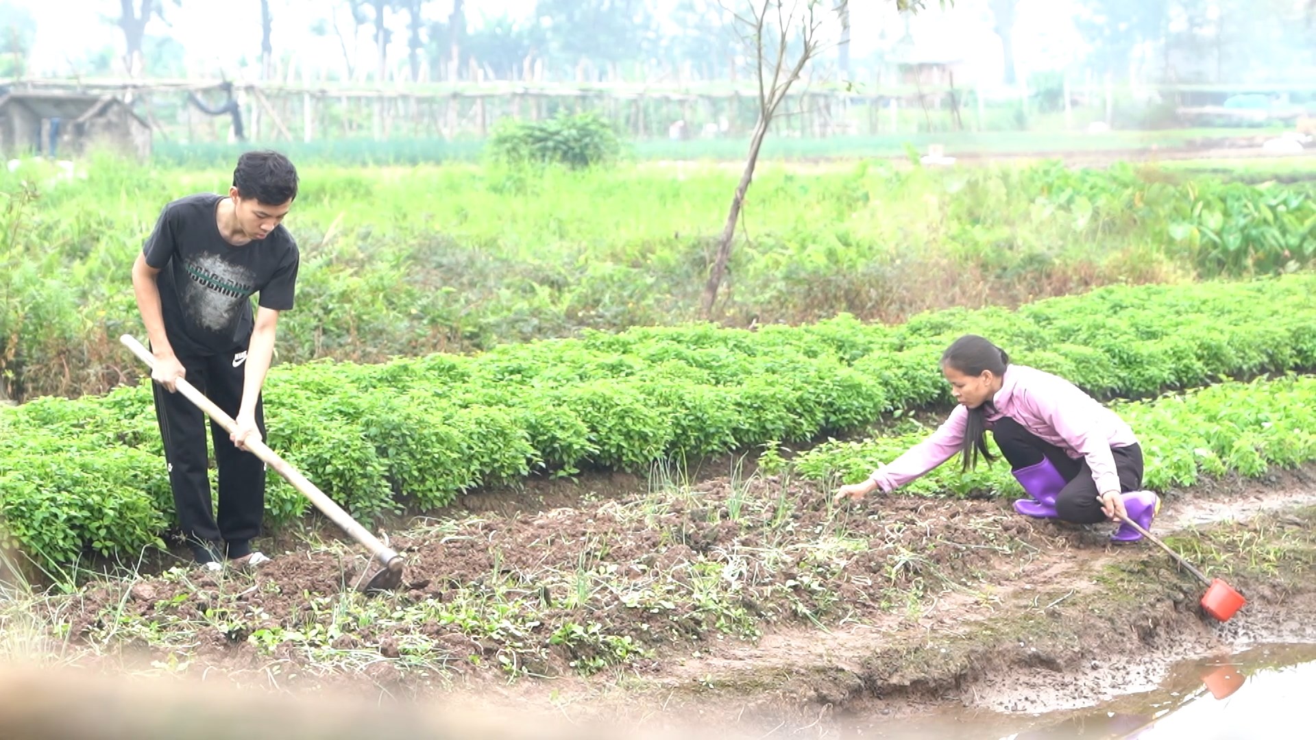 Thành Trung, Diệu Nhi khóc nức nở trước cảnh người mẹ trẻ gồng gánh nuôi gia đình 5 người - ảnh 6