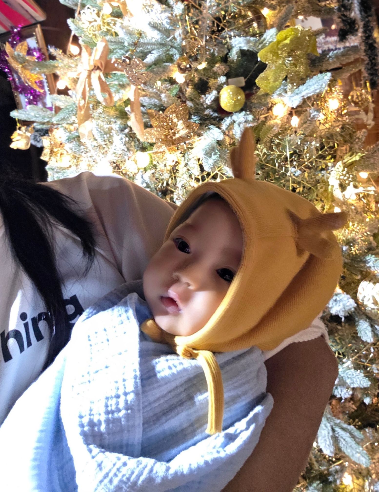 Bé Harley còn được sở hữu tài sản khủng từ mẹ.