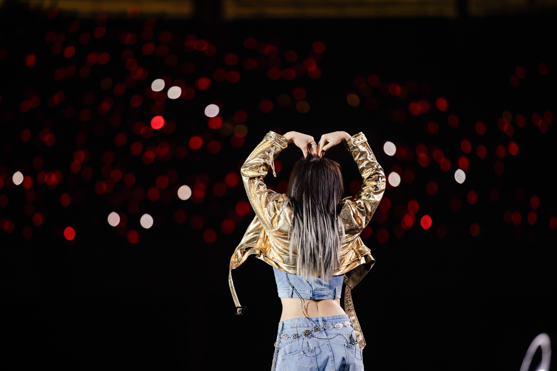 Mỹ Tâm: “Tôi là chiến binh, chỉ lo khán giả của mình bị bệnh” - ảnh 3