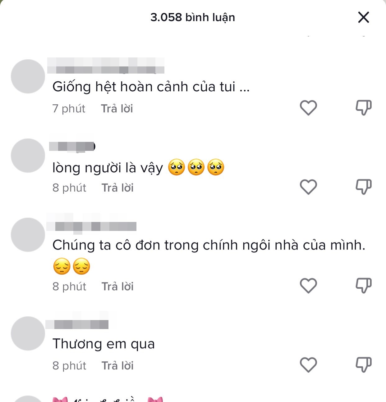 Một số bình luận của cộng đồng mạng (Ảnh: Chụp màn hình TikTok Trần Văn Hùng)