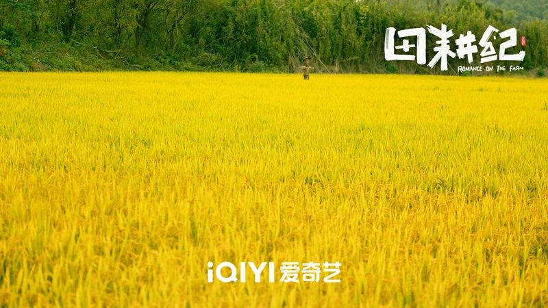 Ngoại cảnh trong phim chắc chắn sẽ đưa khán giả trở về với không khí vùng quê yên bình