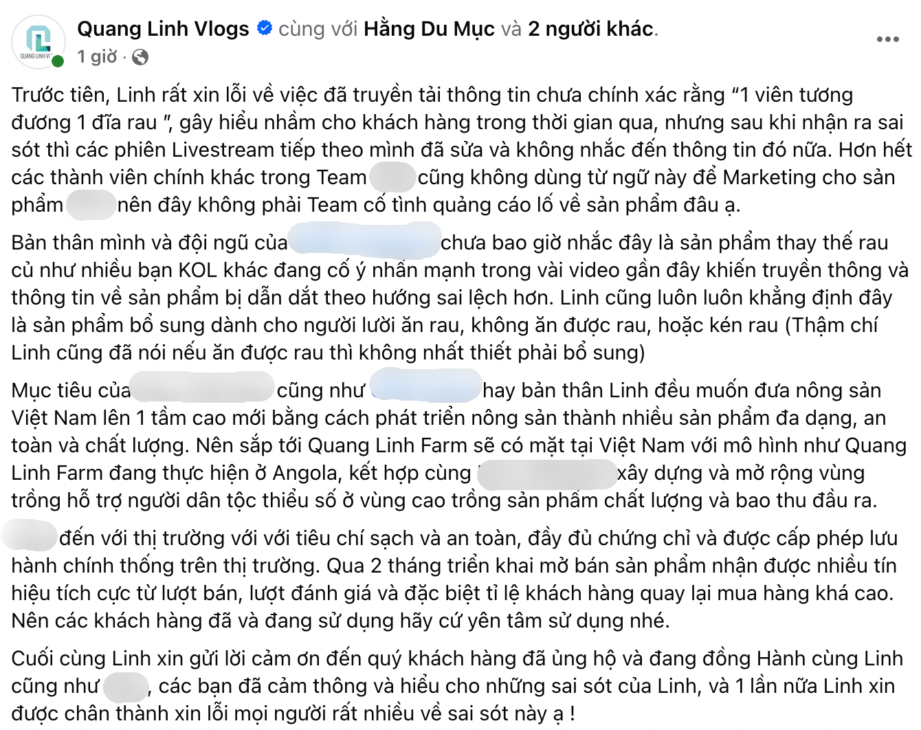 Quang Linh Vlogs xin lỗi vì quảng cáo 'lố' - ảnh 3