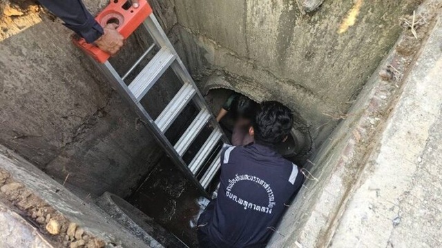 Nghe tiếng kêu dưới cống thoát nước, người dân chạy đến kiểm tra thì chứng kiến cảnh tượng không ngờ - ảnh 2