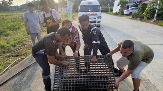 Nghe tiếng kêu dưới cống thoát nước, người dân chạy đến kiểm tra thì chứng kiến cảnh tượng không ngờ - ảnh 1