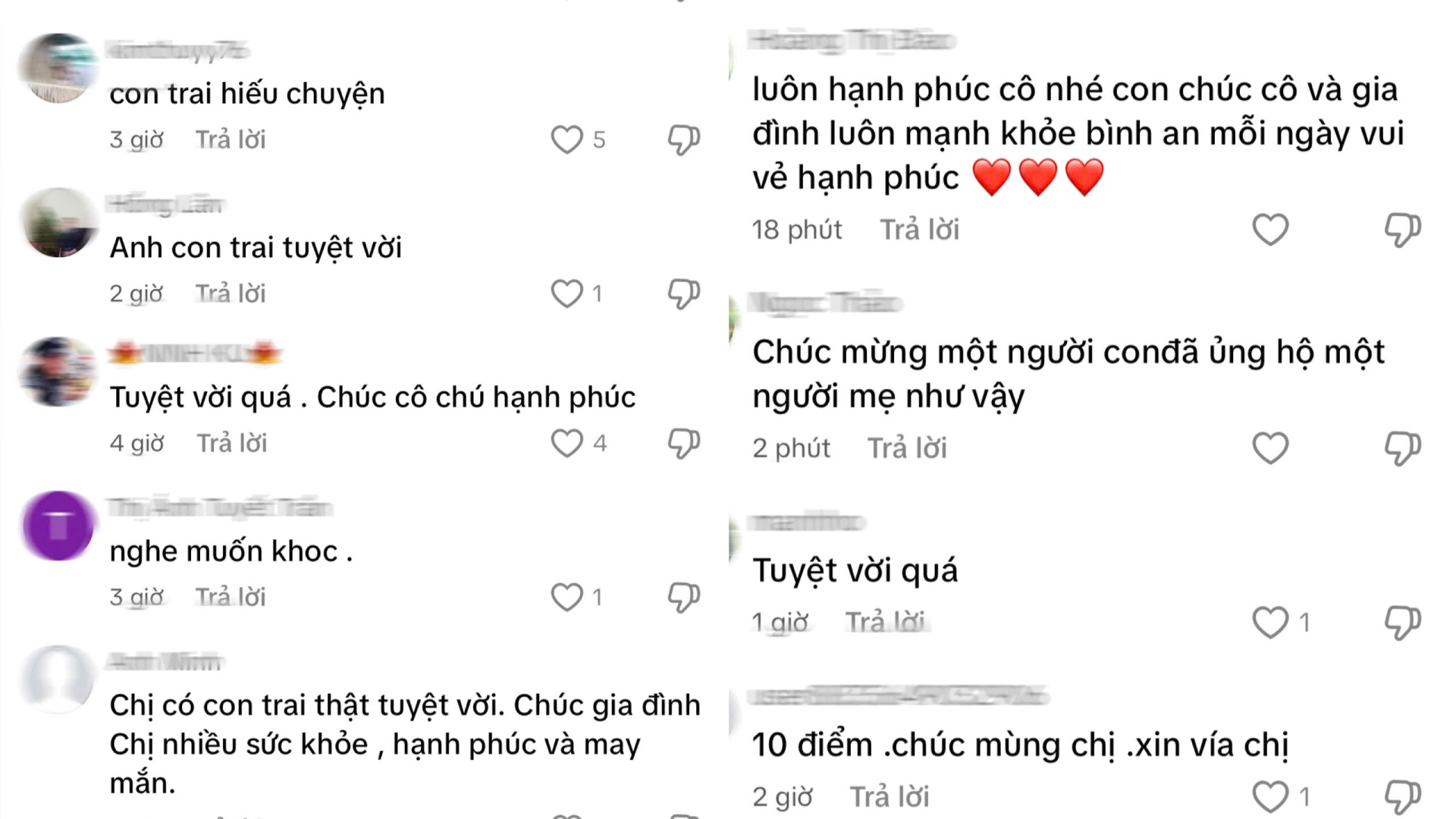 Một số bình luận gửi lời chúc phúc cho mẹ và dành lời khen cho anh Trung