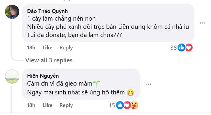 Cộng đồng chung tay phủ xanh 2,75 Hecta rừng chỉ sau 16 giờ phát động chiến dịch 'Vì Một Việt Nam Hạnh Phúc' - ảnh 3