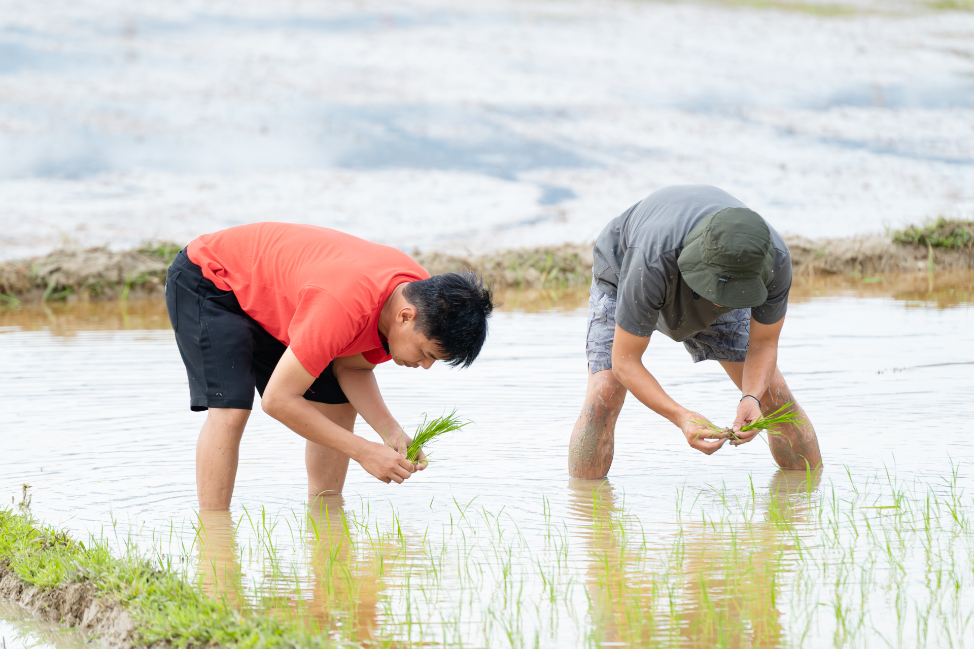 Các bố vùng lên, đòi “xanh chín” với đạo diễn và ekip chương trình 'Bố ơi mình đi đâu thế' - ảnh 1