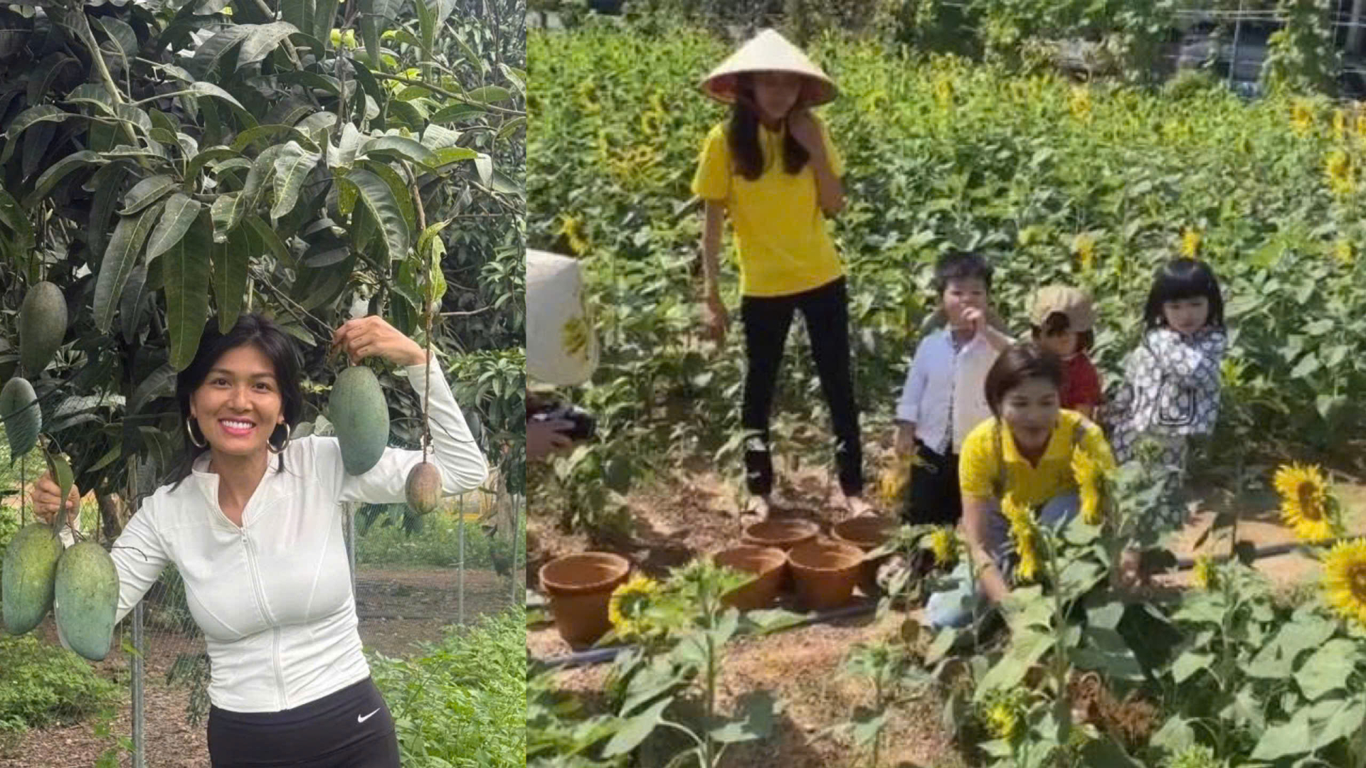Hoa hậu “đông con nhất Việt Nam” vướng nợ nần 10 tỷ, dự định sang Campuchia khởi nghiệp - ảnh 2