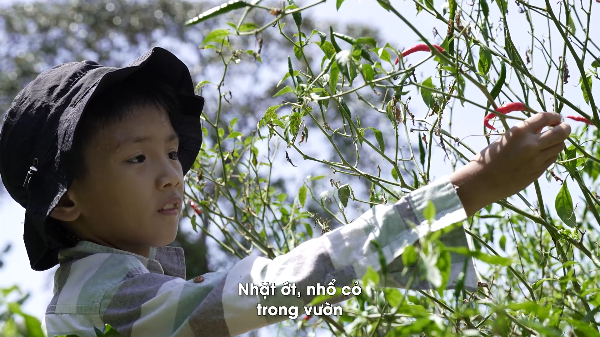 “Con muốn đưa mẹ về ở với con” - Ước mơ nhỏ bé lay động hàng triệu trái tim của bé trai lớp 5 - ảnh 4