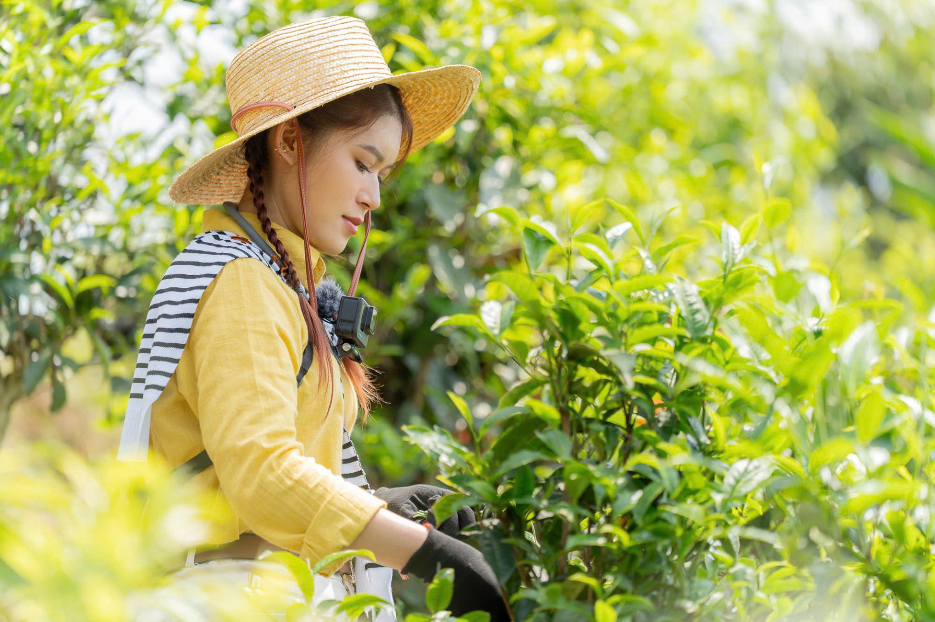 Ngọc Thanh Tâm cố gắng nỗ lực để thay đổi định kiến “sinh ra từ vạch đích nên làm gì cũng thuận lợi” - ảnh 4