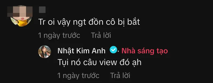 Nhật Kim Anh phản hồi thẳng thắn về tin đồn gây xôn xao - ảnh 3