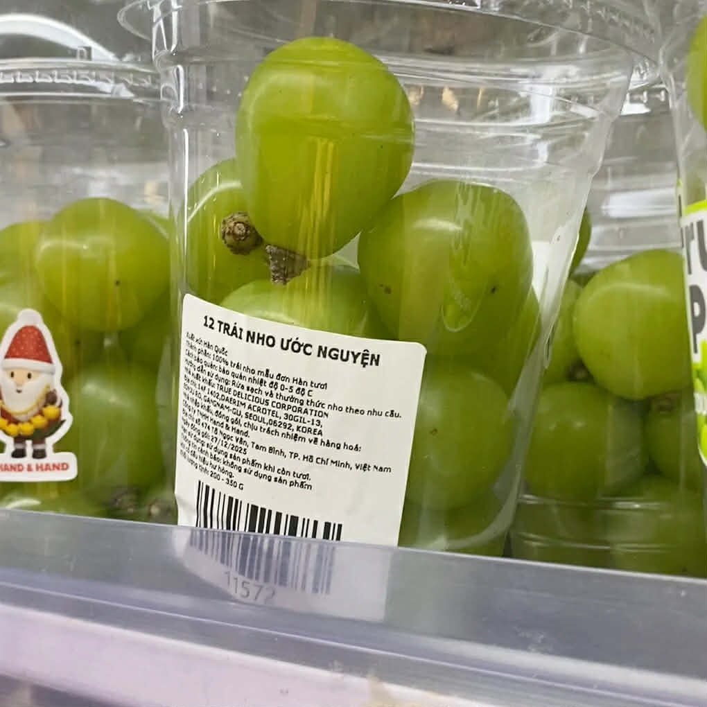 1-1766982770441398292237-1766985583032-17669855834671878300052