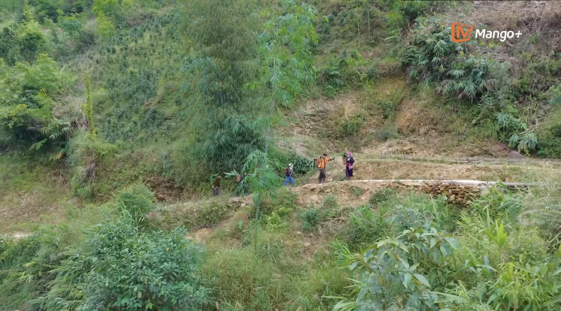 Gia Đình Haha: Hành trình quay lại đầy cảm xúc và không khí Tết ấm áp - ảnh 2