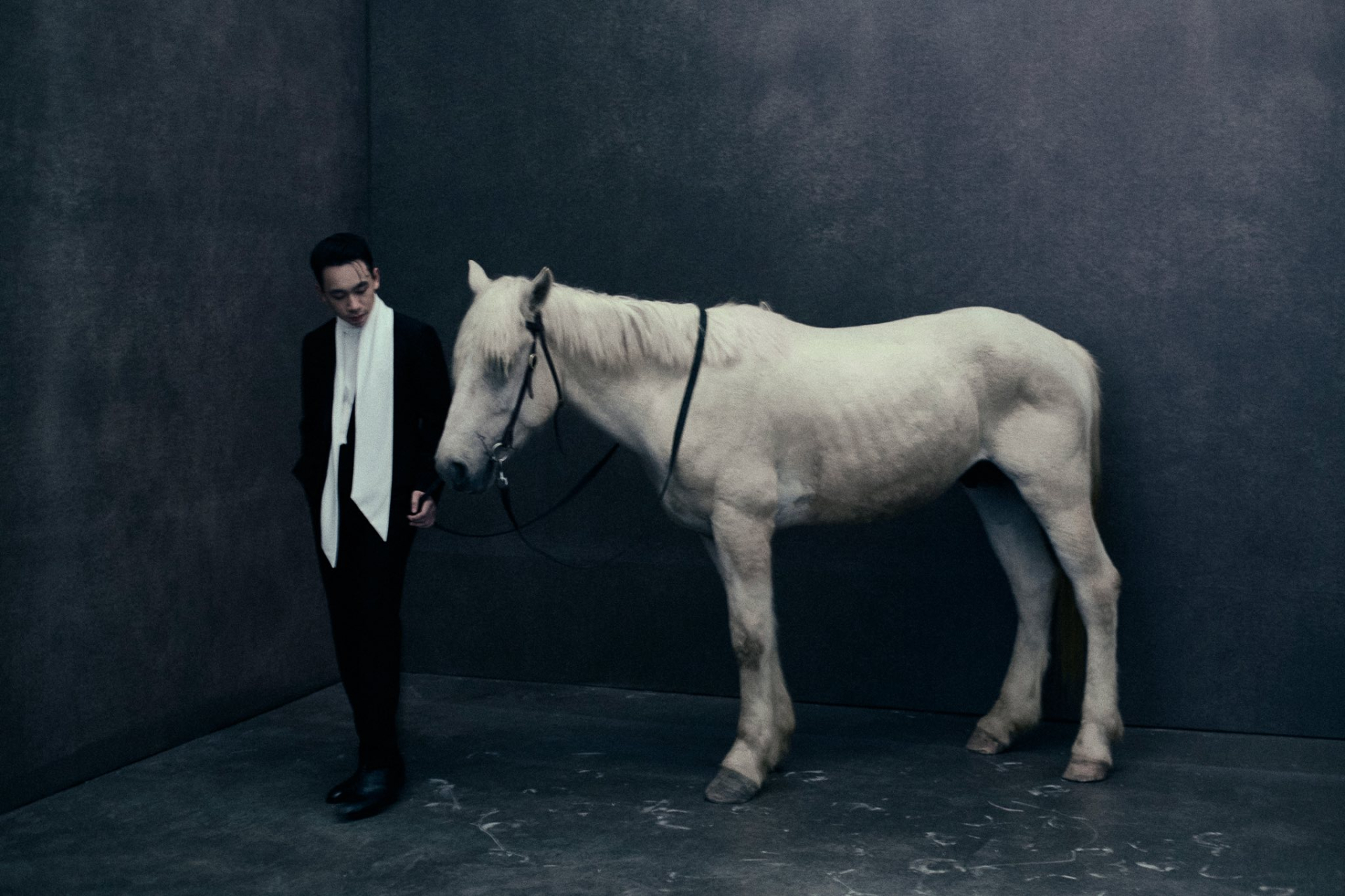 Á hậu Phương Nhi hé lộ bộ ảnh cưới tinh tế bên doanh nhân Minh Hoàng trước thềm hôn lễ - ảnh 3