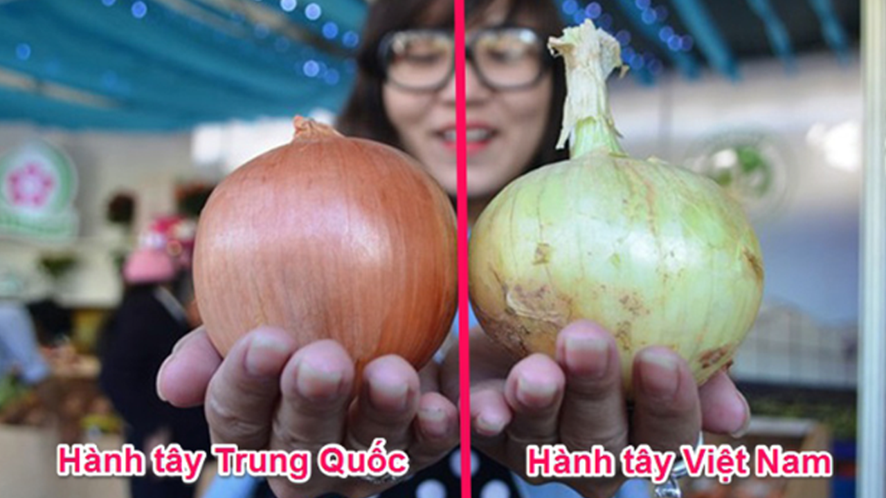 Cách nhận biết đâu là rau củ quả Việt Nam trồng, đâu là rau củ Trung Quốc từ cái nhìn đầu tiên - ảnh 1