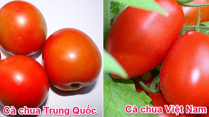 Cách nhận biết đâu là rau củ quả Việt Nam trồng, đâu là rau củ Trung Quốc từ cái nhìn đầu tiên - ảnh 5