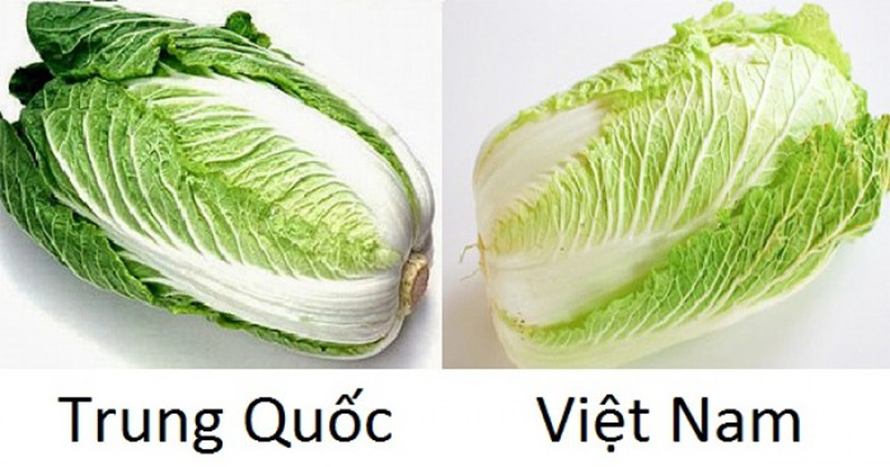 Cách nhận biết đâu là rau củ quả Việt Nam trồng, đâu là rau củ Trung Quốc từ cái nhìn đầu tiên - ảnh 4