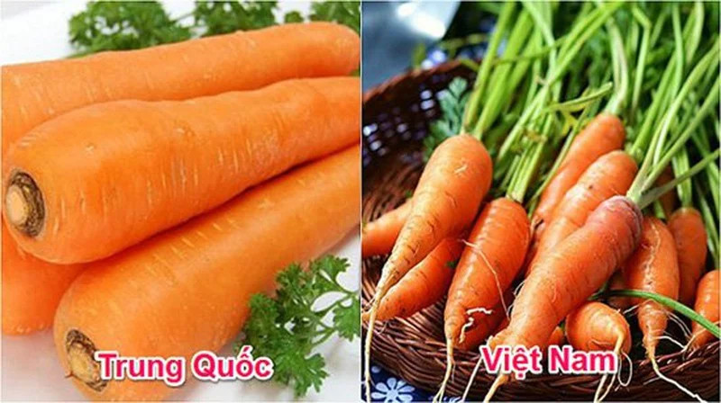 Cách nhận biết đâu là rau củ quả Việt Nam trồng, đâu là rau củ Trung Quốc từ cái nhìn đầu tiên - ảnh 2