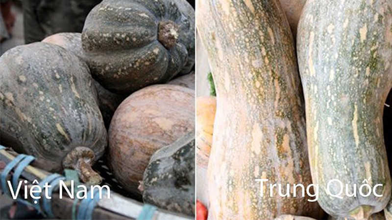 Cách nhận biết đâu là rau củ quả Việt Nam trồng, đâu là rau củ Trung Quốc từ cái nhìn đầu tiên - ảnh 6