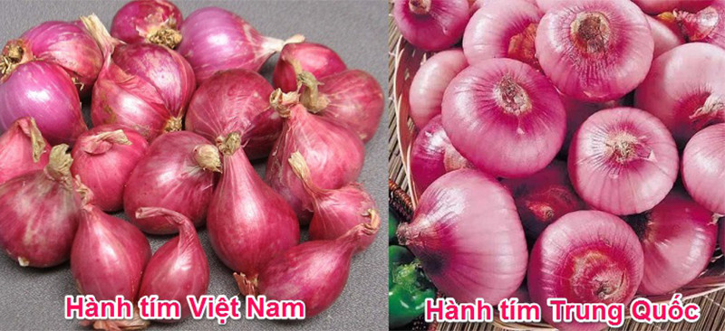 Cách nhận biết đâu là rau củ quả Việt Nam trồng, đâu là rau củ Trung Quốc từ cái nhìn đầu tiên - ảnh 9