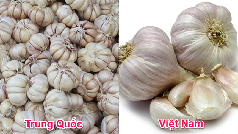 Cách nhận biết đâu là rau củ quả Việt Nam trồng, đâu là rau củ Trung Quốc từ cái nhìn đầu tiên - ảnh 10