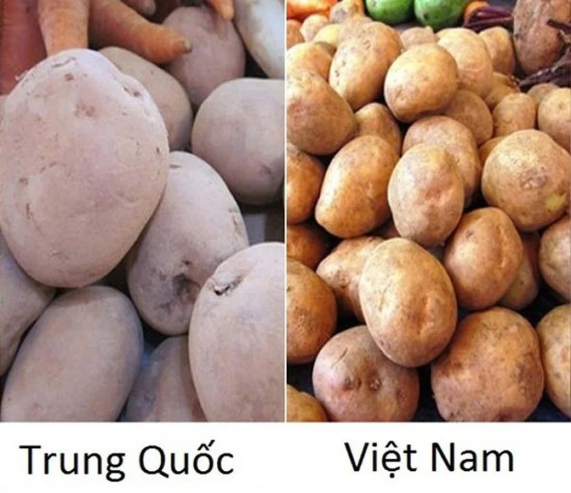 Cách nhận biết đâu là rau củ quả Việt Nam trồng, đâu là rau củ Trung Quốc từ cái nhìn đầu tiên - ảnh 8