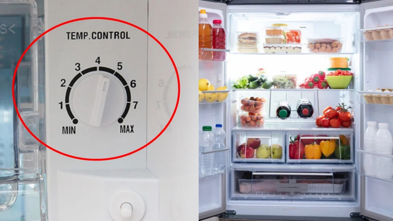 Chỉnh nhiệt độ tủ lạnh ở mức này để bảo quản thực phẩm tươi lâu còn tiết kiệm tiền điện