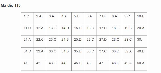 Đáp án tham khảo môn Toán mã đề 115 kỳ thi THPT quốc gia 2023 nhanh và chuẩn xác nhất (Đang cập nhật)
