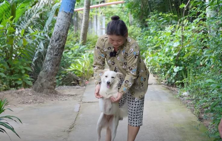 Cưu mang chú chó có 2 chân, cặp vợ chồng ở miền Tây “đổi đời” sau 2 năm, được “trả ơn” bằng một ngôi nhà - ảnh 3