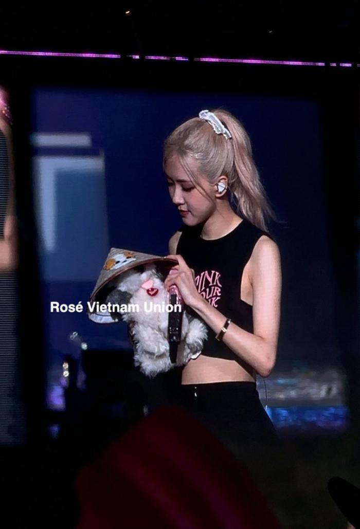 Một nữ ca sĩ Vbiz “đu idol” thành công, được Rosé (BLACKPINK) giơ tay nhận quà “vô giá của Việt Nam” ngay trong concert - ảnh 6